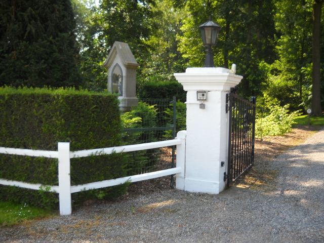 Photo 7