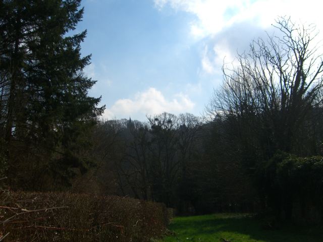 Photo 25