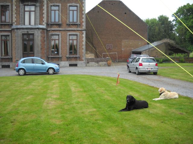 Photo 46