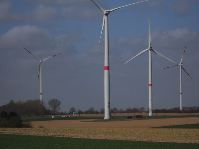 Photo 16