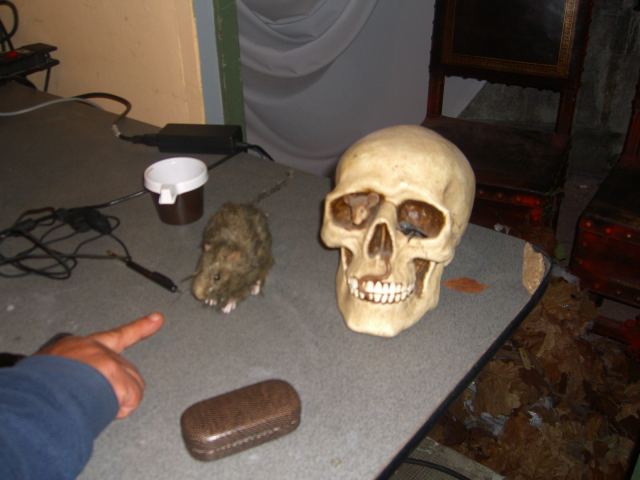 Photo 20