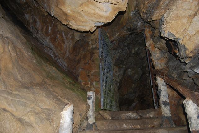 Photo 25