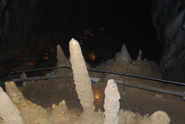 Photo 44