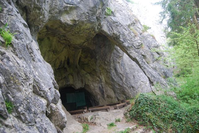 Photo 11