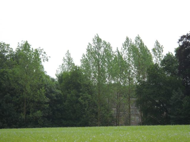Photo 36
