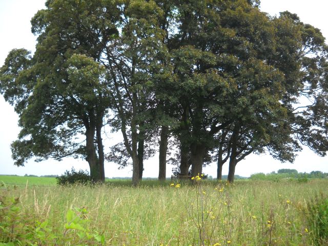 Photo 38